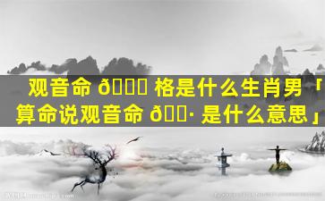观音命 🕊 格是什么生肖男「算命说观音命 🌷 是什么意思」